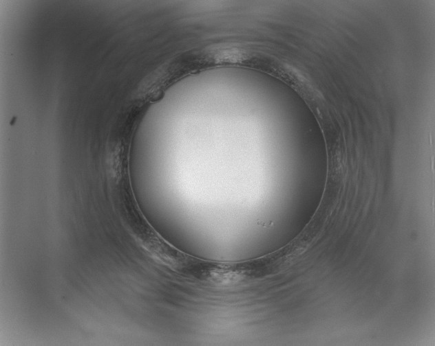 X0000071340311200607071705