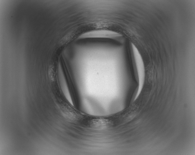 X0000071340316200607071705