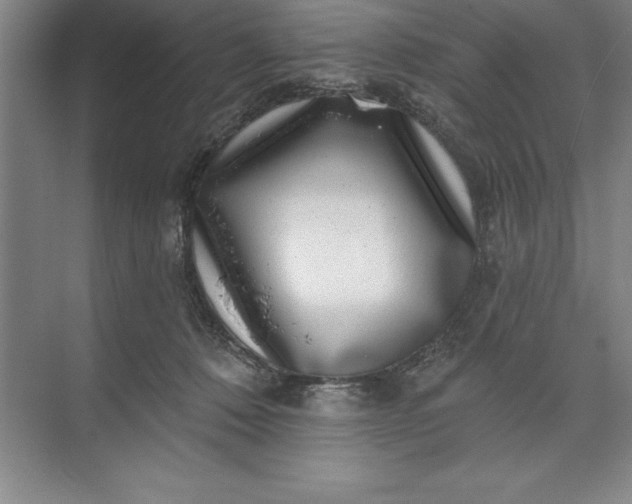 X0000071340320200607071705