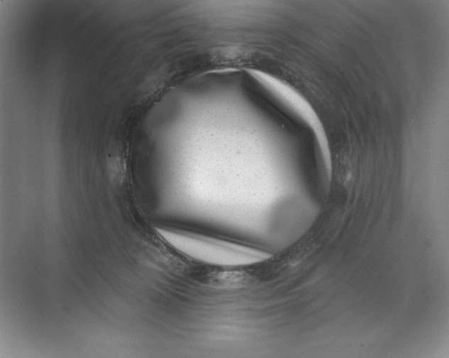 X0000071340324200607071705