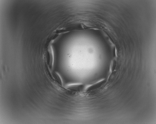 X0000071340329200607071704