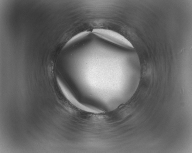 X0000071340332200607071704