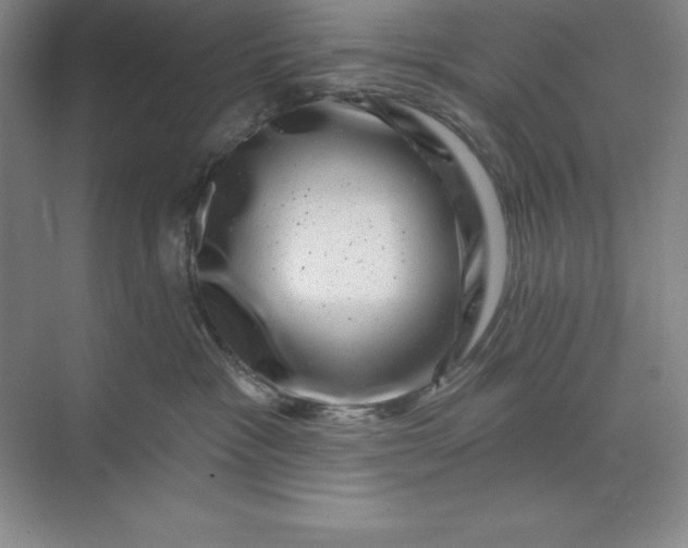 X0000071340333200607071704
