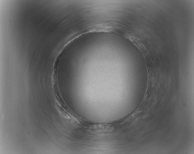 X0000071340338200607071704