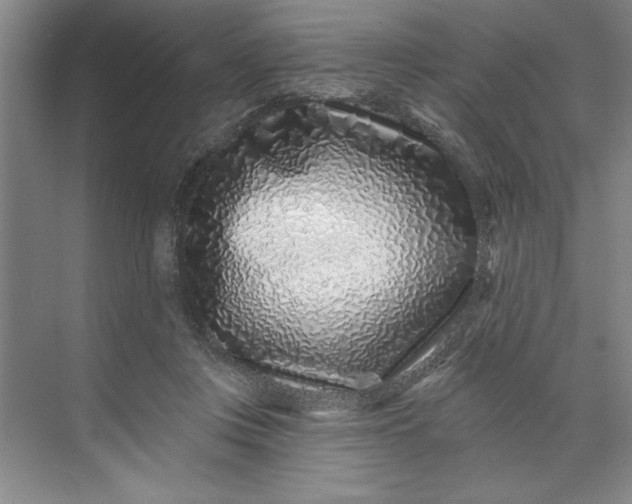 X0000071340359200607071704
