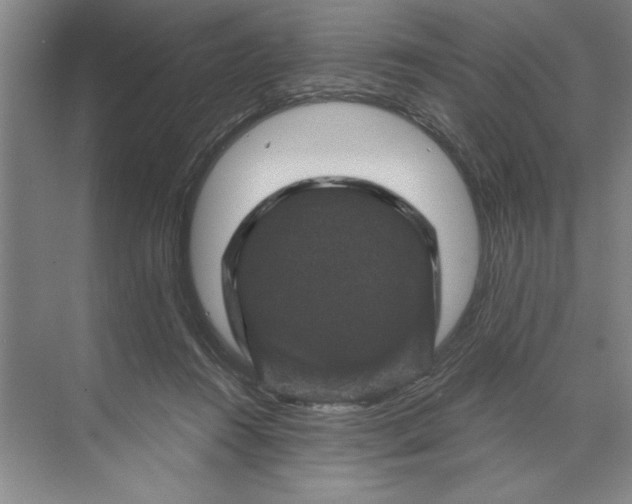X0000071340360200607071704