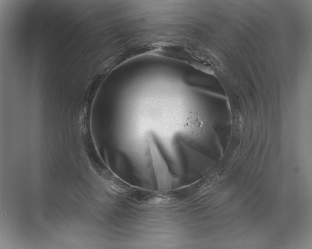 X0000071340364200607071704