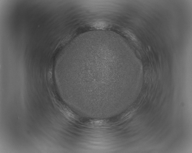 X0000071340365200607071704
