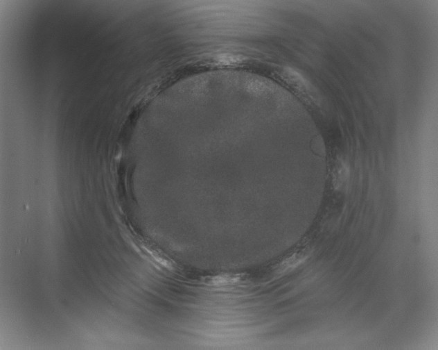 X0000071340366200607071704