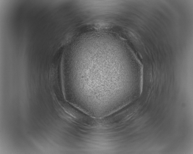 X0000071340367200607071704