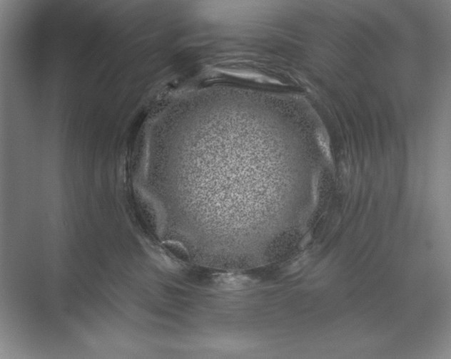 X0000071340379200607071704