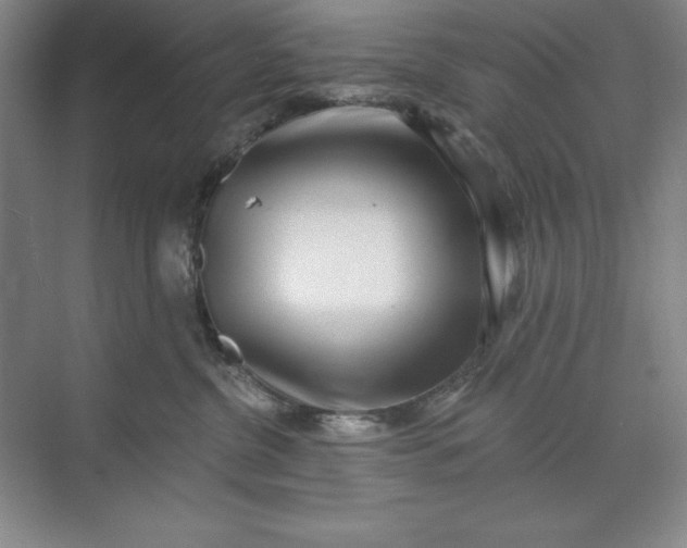 X0000071340380200607071704