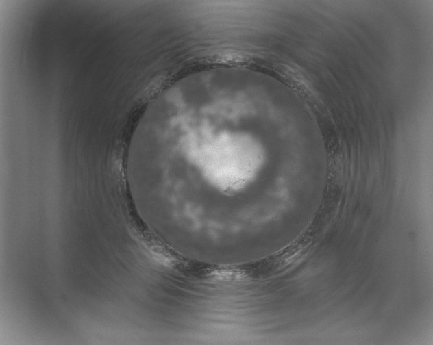 X0000071340415200607071703