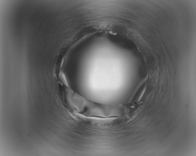 X0000071340416200607071703