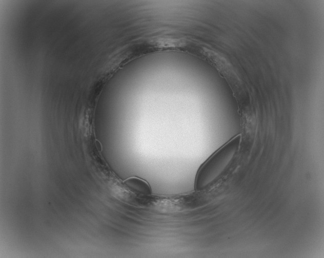X0000071340422200607071703