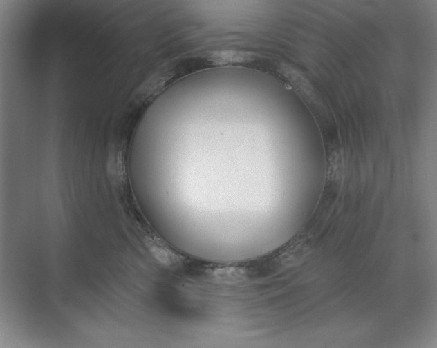 X0000071340426200607071703