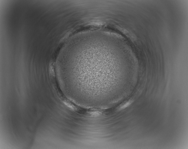 X0000071340432200607071703