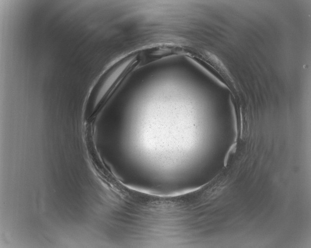 X0000071340435200607071702