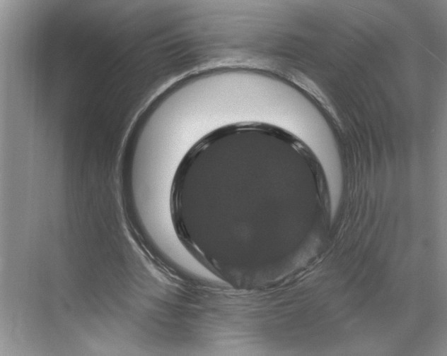 X0000071340436200607071702