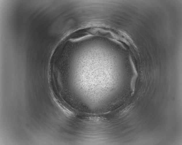 X0000071340439200607071702