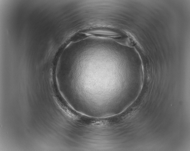 X0000071340447200607071702
