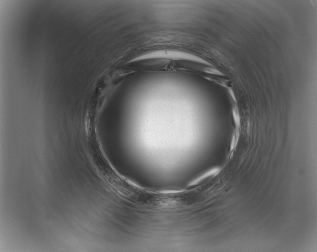 X0000071340456200607071702
