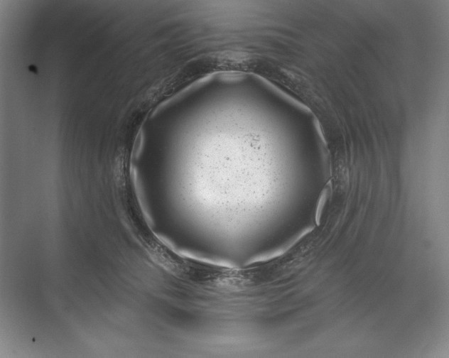 X0000071340468200607071703