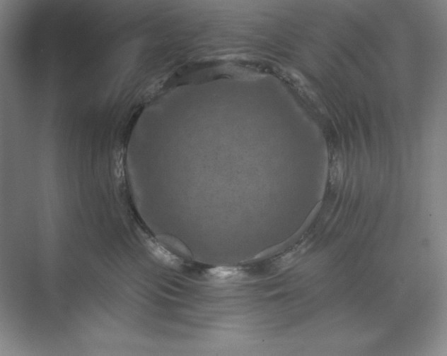X0000071340477200607071703