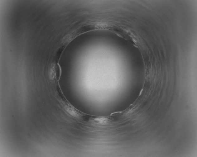 X0000071340478200607071703