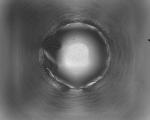 X0000071340480200607071703