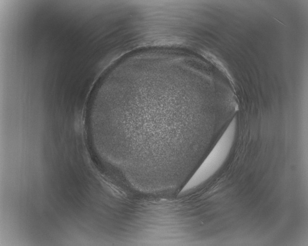X0000071340483200607071702