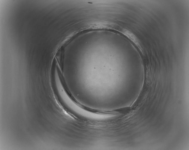 X0000071340485200607071702
