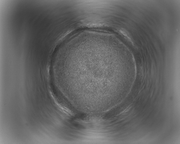 X0000071340491200607071702