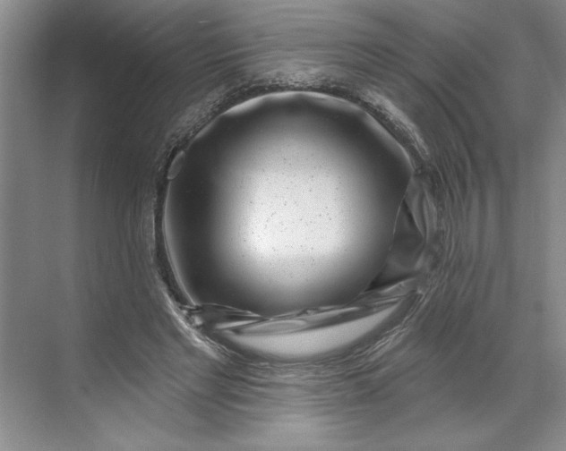 X0000071340493200607071702