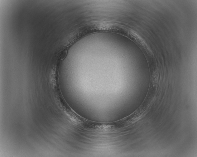 X0000071340497200607071702