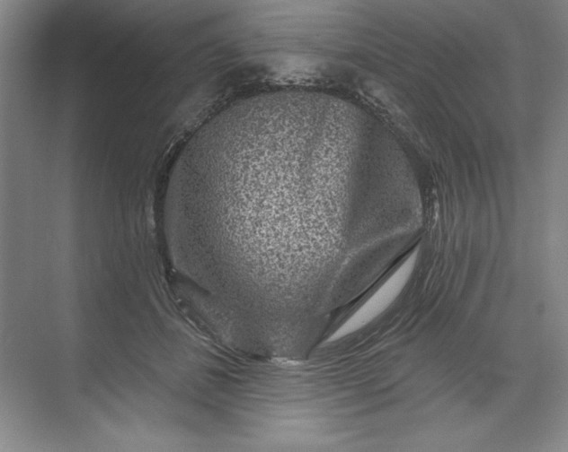 X0000071340508200607071701