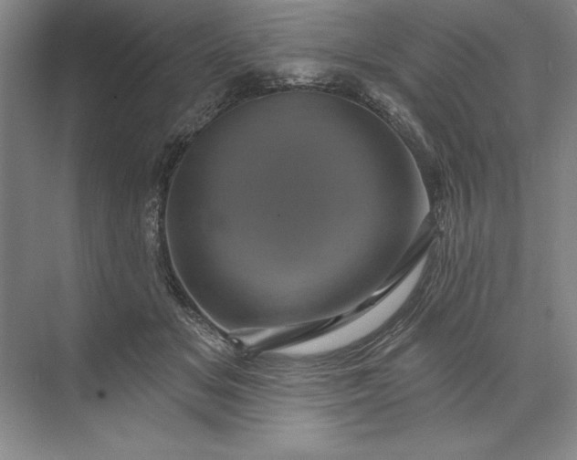 X0000071340509200607071701