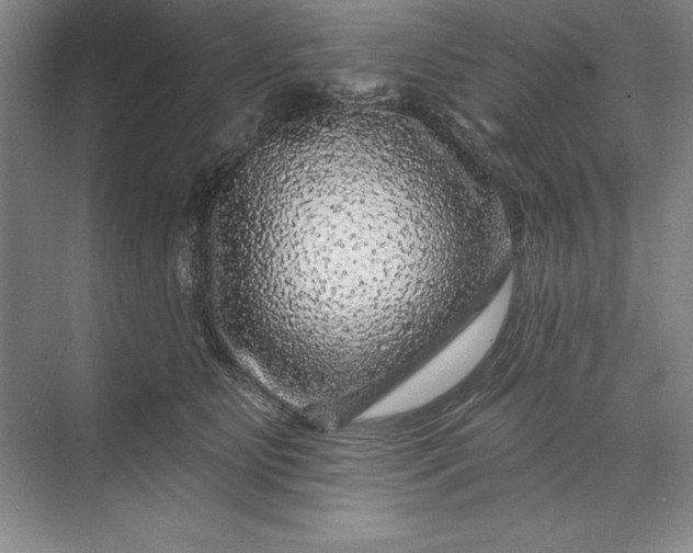 X0000071340515200607071701
