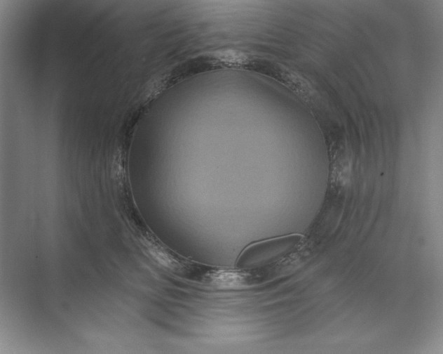 X0000071340518200607071701