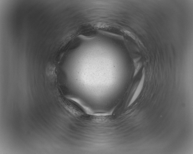 X0000071340521200607071701