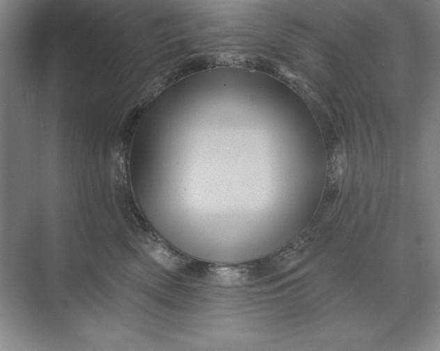 X0000071340522200607071701