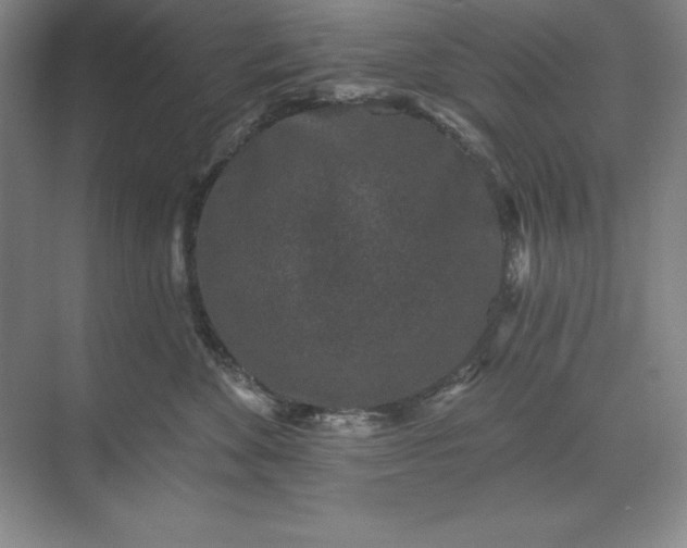 X0000071340524200607071701