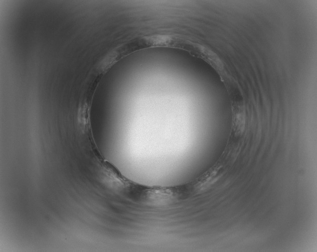 X0000071340525200607071701