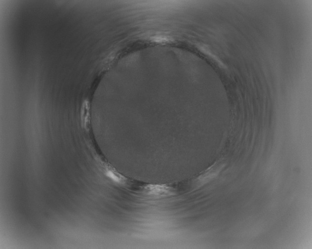 X0000071340528200607071701