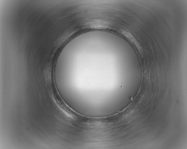 X0000071340533200607071700