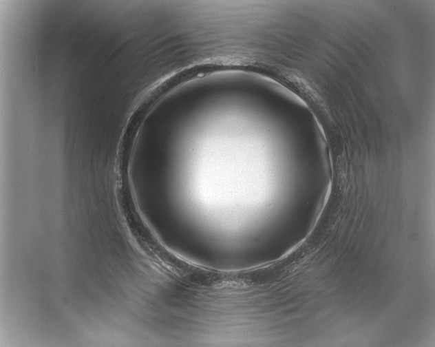 X0000071340536200607071700