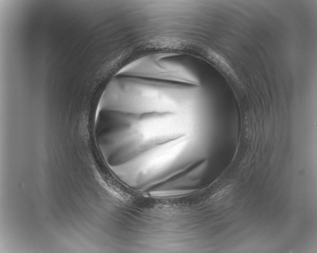 X0000071340538200607071700