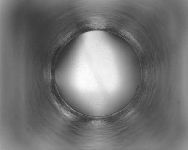 X0000071340541200607071701
