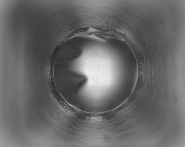 X0000071340548200607071701