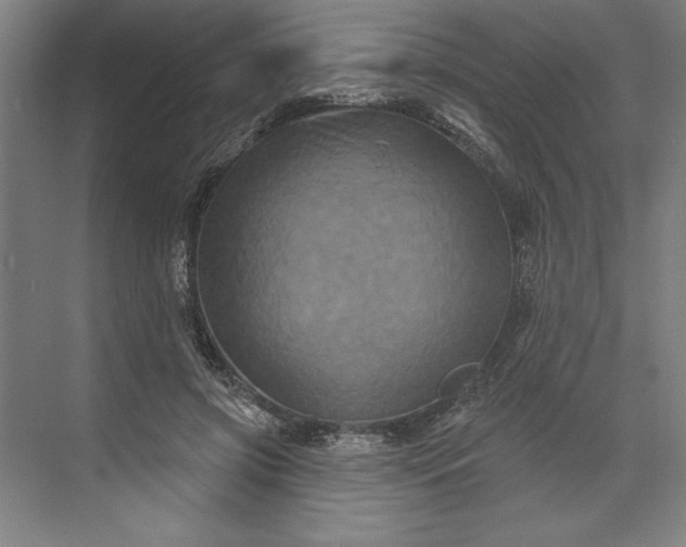 X0000071340549200607071701